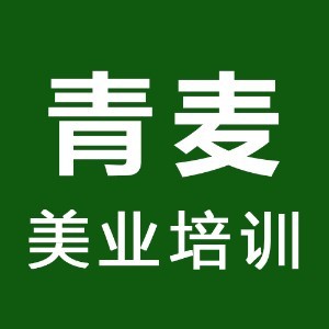 潍坊青麦美业培训logo