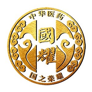 广州国耀中医培训logo