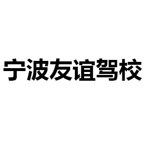 宁波友谊驾校logo