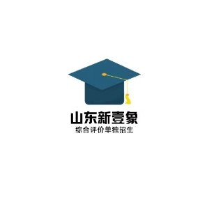 山东新壹象教育logo