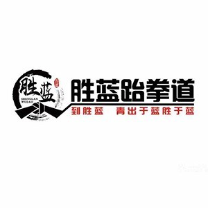 石家庄胜蓝跆拳道（天林馆）logo