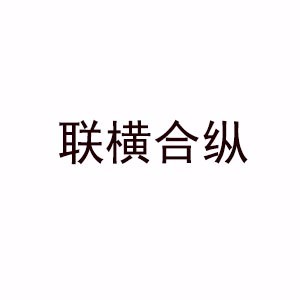 深圳联横合纵教育logo