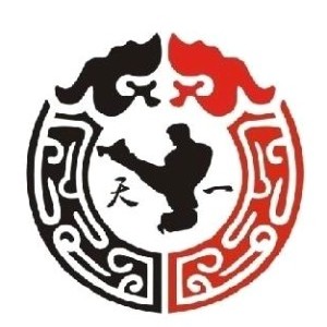 宁波天一少儿跆拳道馆logo