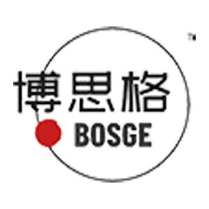 武汉博思格升学logo