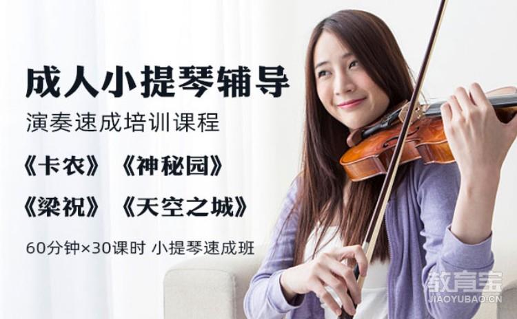 成人小提琴辅导（17-40岁）演奏
