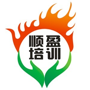 佛山市顺盈职业技术培训logo
