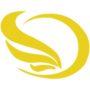 长沙悦媛美学logo