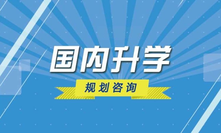 国内升学规划咨询