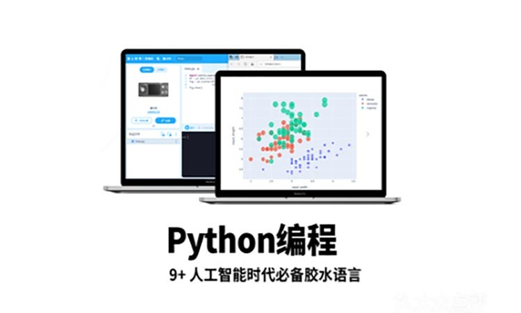【Python编程】AI语言代码编程入门