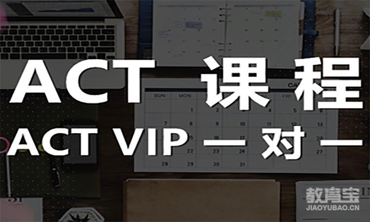 ACT VIP一对一课程