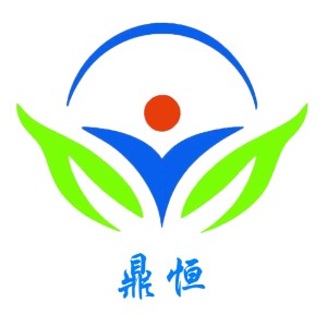 重庆市九龙坡区鼎恒职业培训学校logo