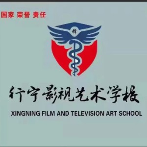 临沂释行宁艺术学校logo