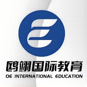 武汉鸥翊国际教育logo