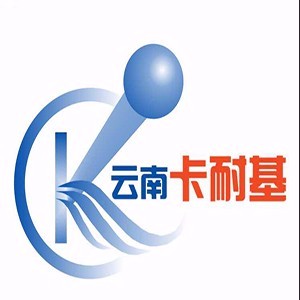 云南卡耐基教育logo