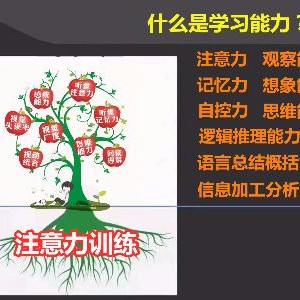 南京金色雨林能优教育logo
