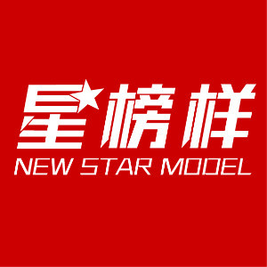 陕西星榜样职业模特艺考培训logo