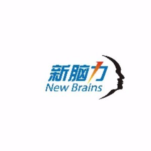 安徽新脑力教育logo