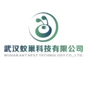 武汉蚁巢科技logo