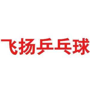 飞扬乒乓球培训logo