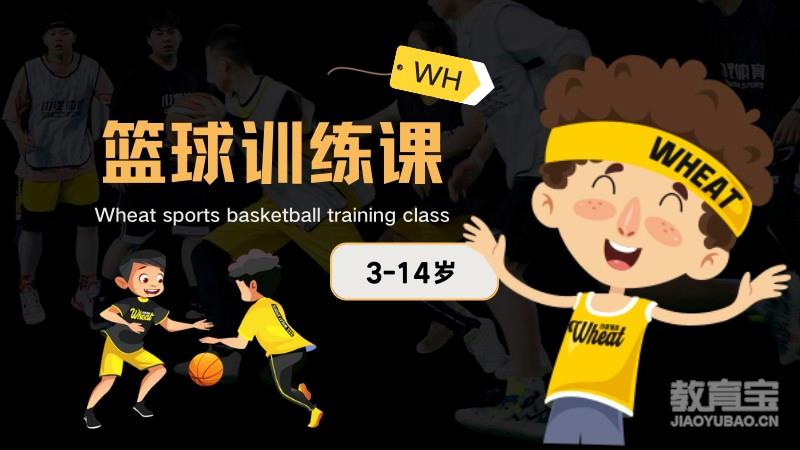 3-14岁青少年篮球训练课