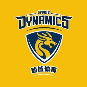 浙江动城体育logo