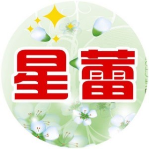 东莞星蕾教育logo