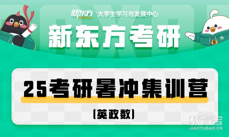 25考研集训营（英政数）暑冲营