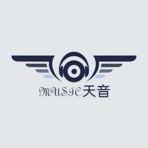 宁波天音打击乐logo