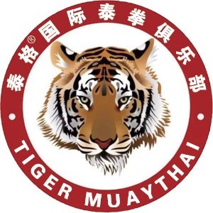 济南泰格泰拳俱乐部logo
