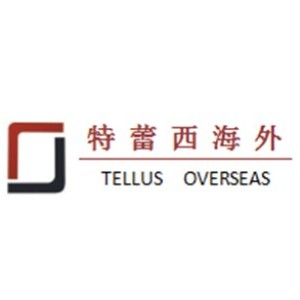 郑州特蕾西海外logo