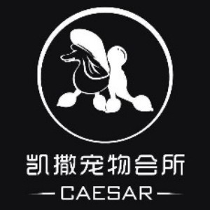 大连凯撒宠物美容培训logo