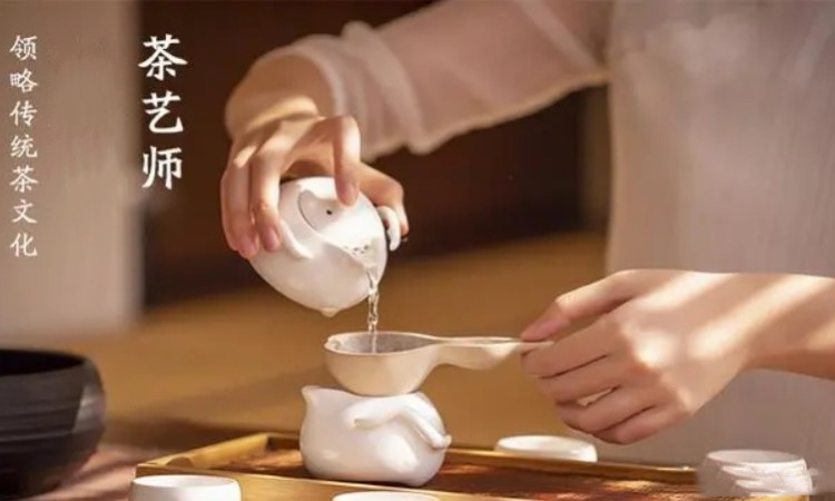 东莞厚街哪里可以学茶艺师还能领政府补贴