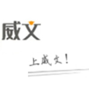 石家庄威文教育升学规划logo