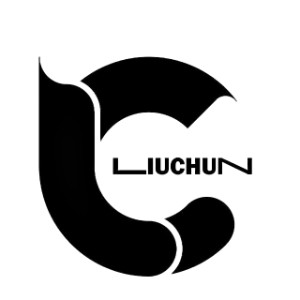 郑州柳淳舞蹈logo