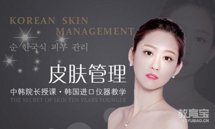 韩式高级皮肤管理