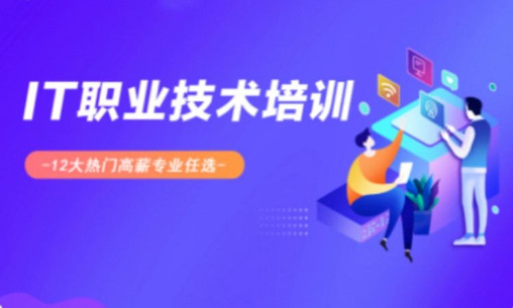 IT职业技术培训