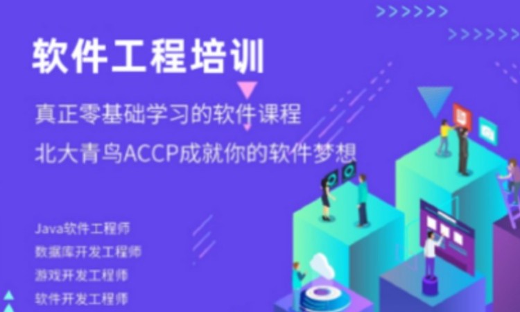 软件工程培训
