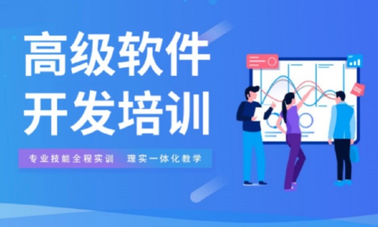 高级软件开发培训