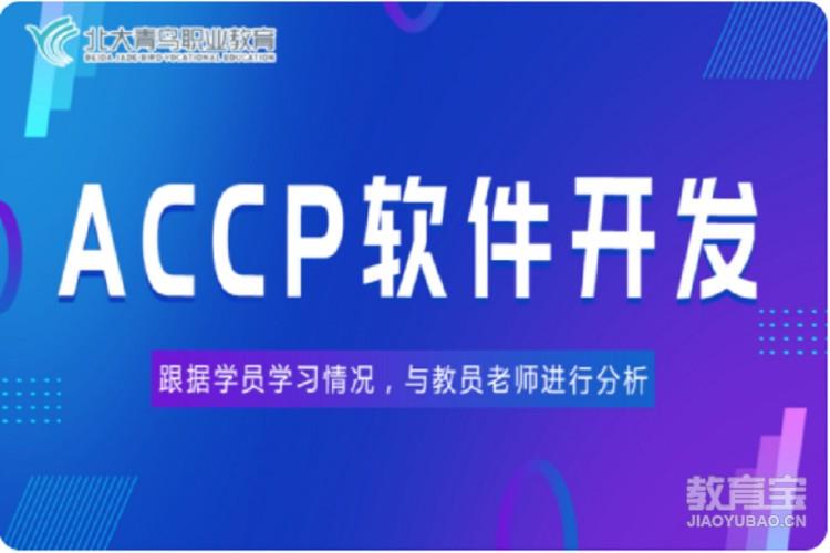 ACCP软件开发培训
