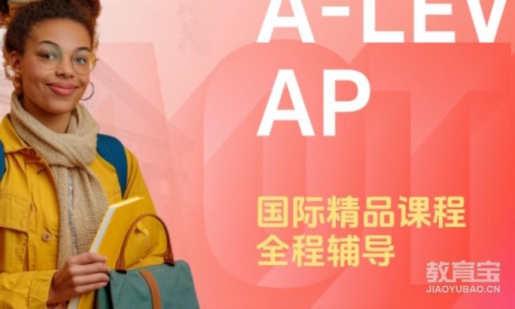 AP国际精品课程