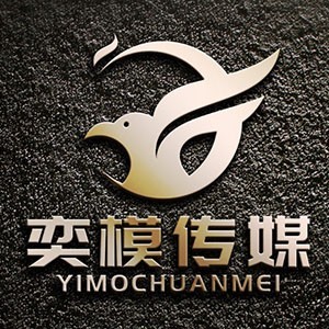 杭州Y&#183;M模特培训机构logo