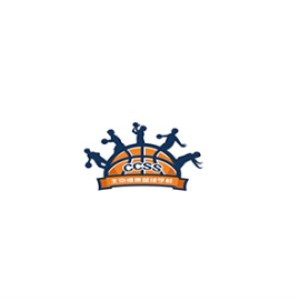 北京维康篮球训练中心logo