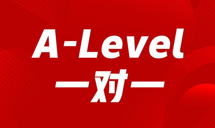 A-Level一对一