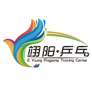 翊阳乒乓球训练中心logo