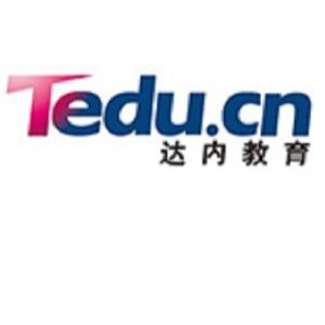 长沙达内教育logo
