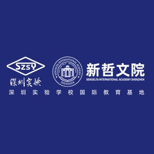 深圳新哲文院培训logo