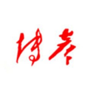 杭州博彦教育logo