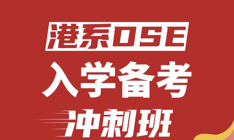 港系DSE入学备考冲刺班