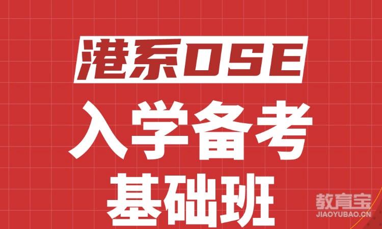 港系DSE入学备考基础班