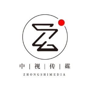 东莞中视传媒艺考logo
